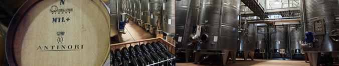 antinori