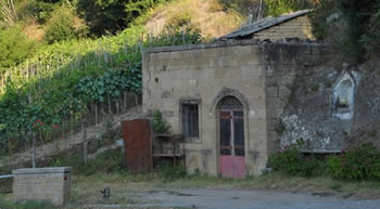 Ex cocceria